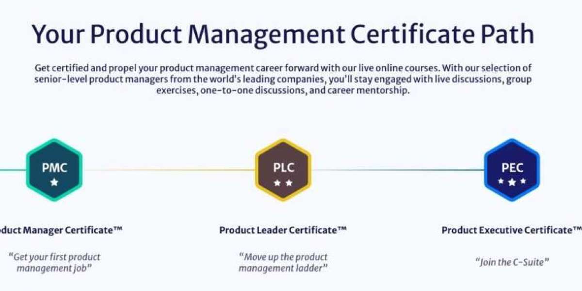 An Ultimate Guide on The Product Manager Career Path