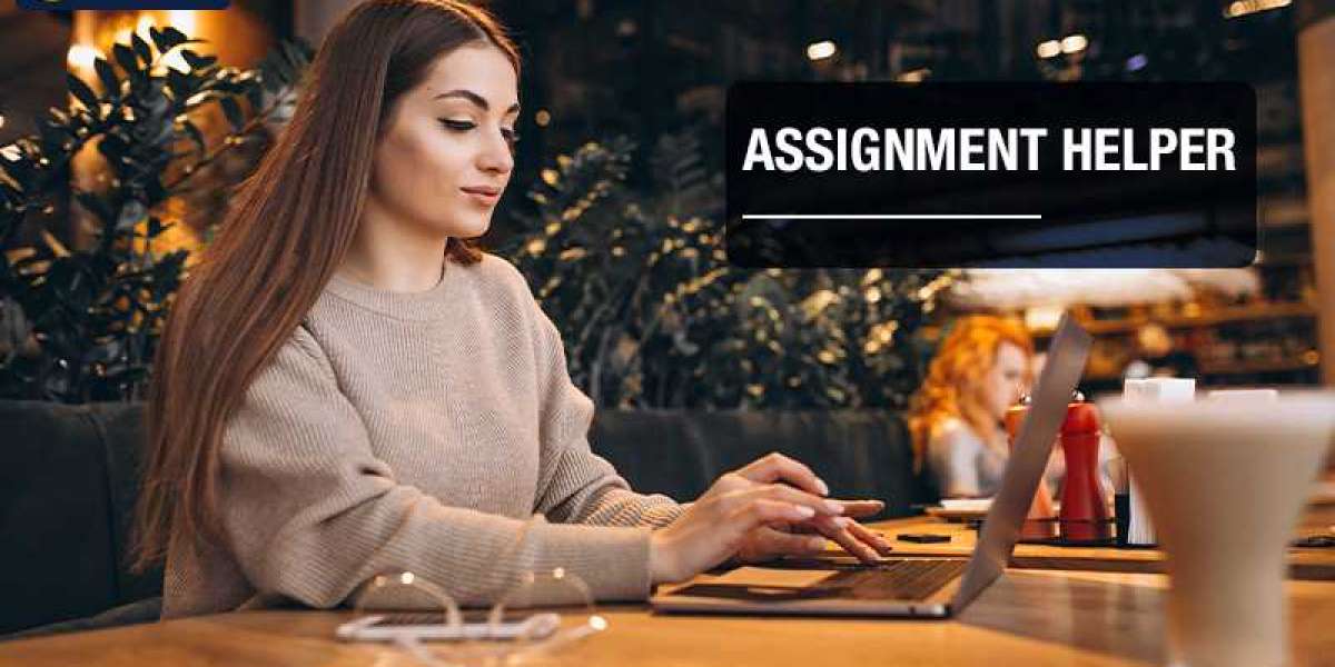 Expert guidance with online assignment help in the USA