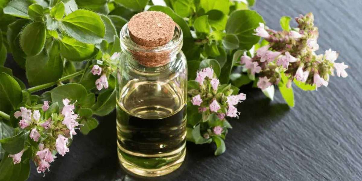 Oregano Oil Market Size, Share, Price, Trends, Growth, Analysis, Outlook, Report, Forecast 2021-2026