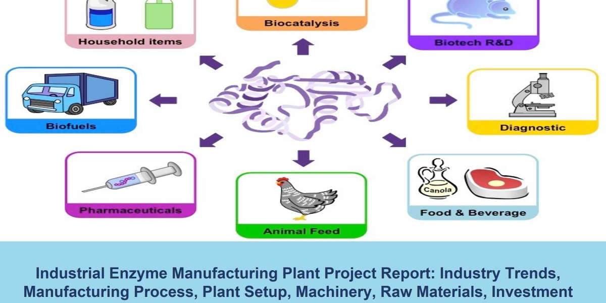 Industrial Enzyme Manufacturing Project Report 2022-2027 | Syndicated Analytics