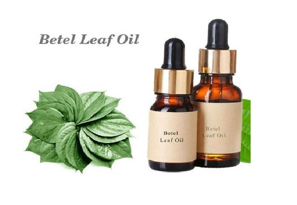 Global Betel Leaf Oil Market Size 2023 Capacity, Production, Revenue, Export and Consumption