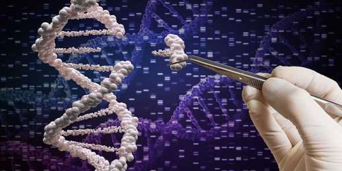 CRISPR Gene Editing Market Size, Top Vendors, Industry Research