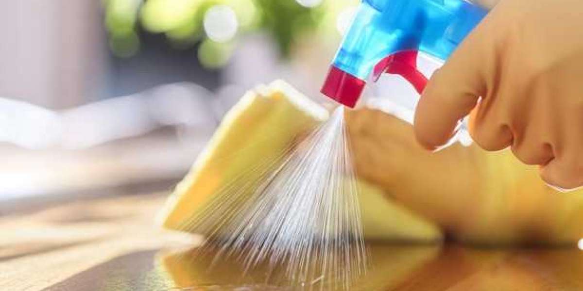 Hospital Disinfectant Products & Services Market Size, Dynamics & Forecast Report to 2032