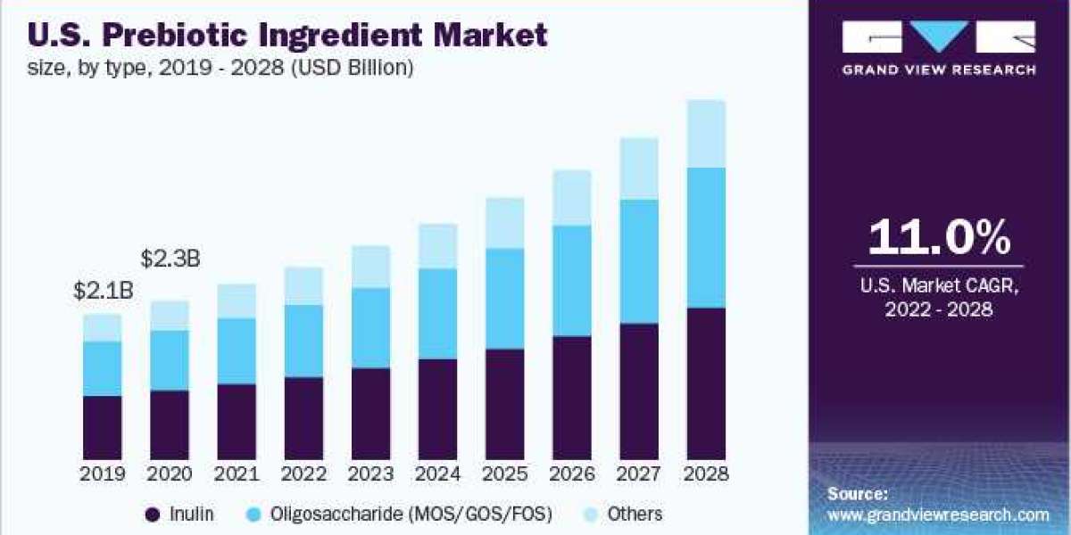 Prebiotic Ingredient Market - Positive Long-Term Growth Outlook 2028