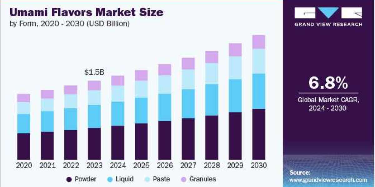 Umami Flavors Market 2024 World Analysis and Forecast to 2030