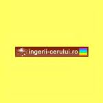 ingeriicerului