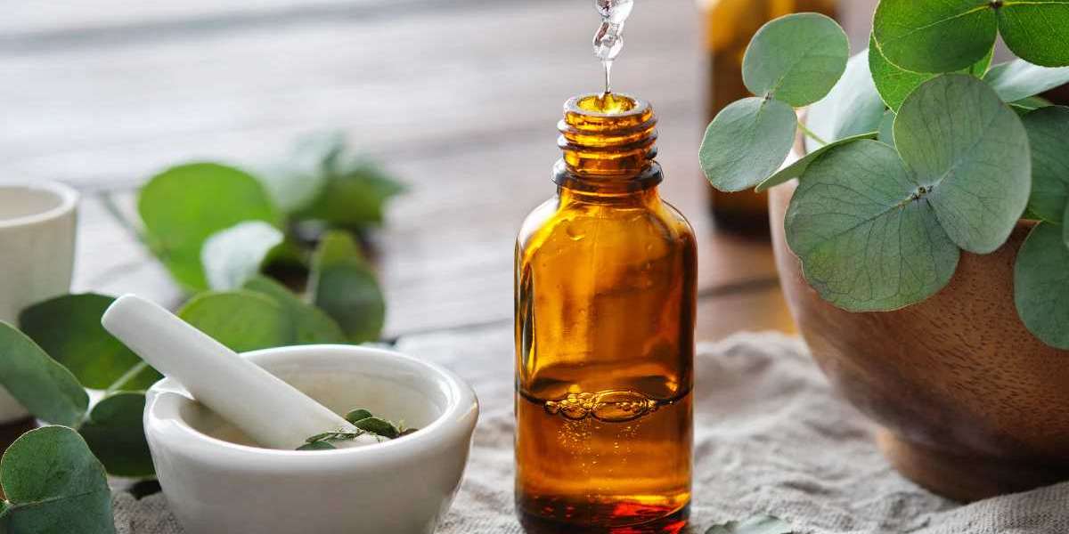 Eucalyptus Essential Oil: Harnessing Nature’s Respiratory Remedy