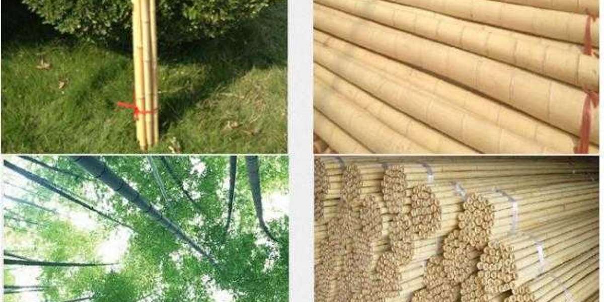 Thick Bamboo Stakes: How to Choose, Use, and Maintain for Long-Lasting Plant Support