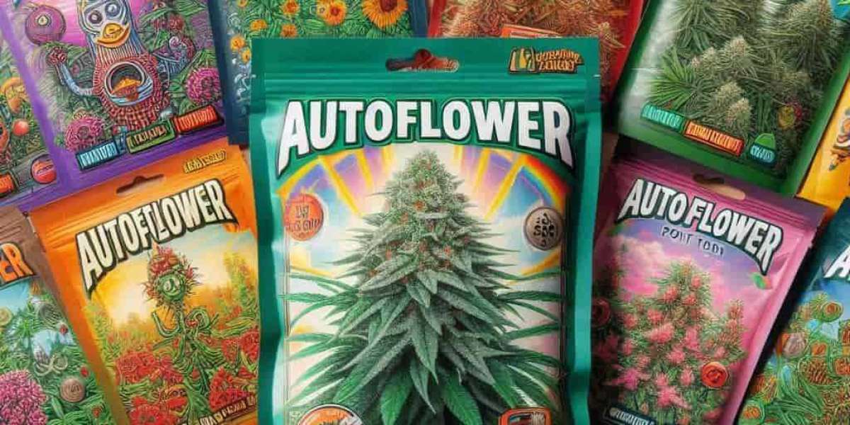 The Growing Popularity of Texas Weed Seeds