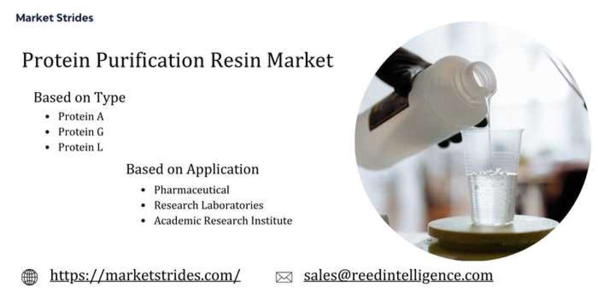 Protein Purification Resin Market Forecast 2025-2033: Growth Insights