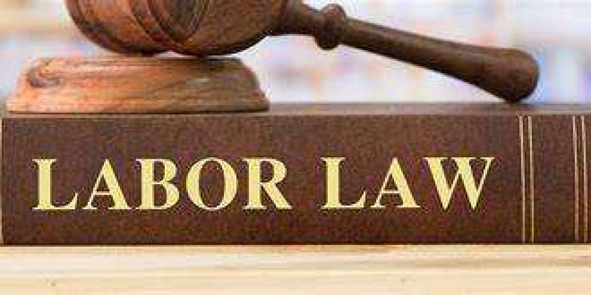 Understanding the Role of Labour Law Attorneys in Modern Workplaces