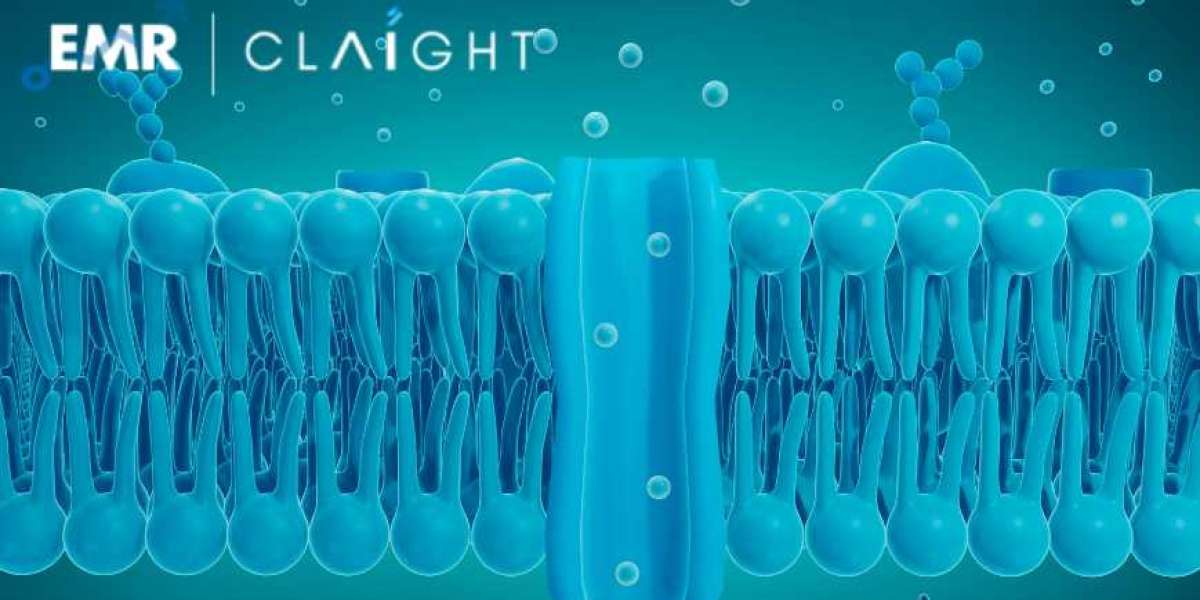 Ion Exchange Membrane Market: An In-Depth Analysis of Growth and Trends