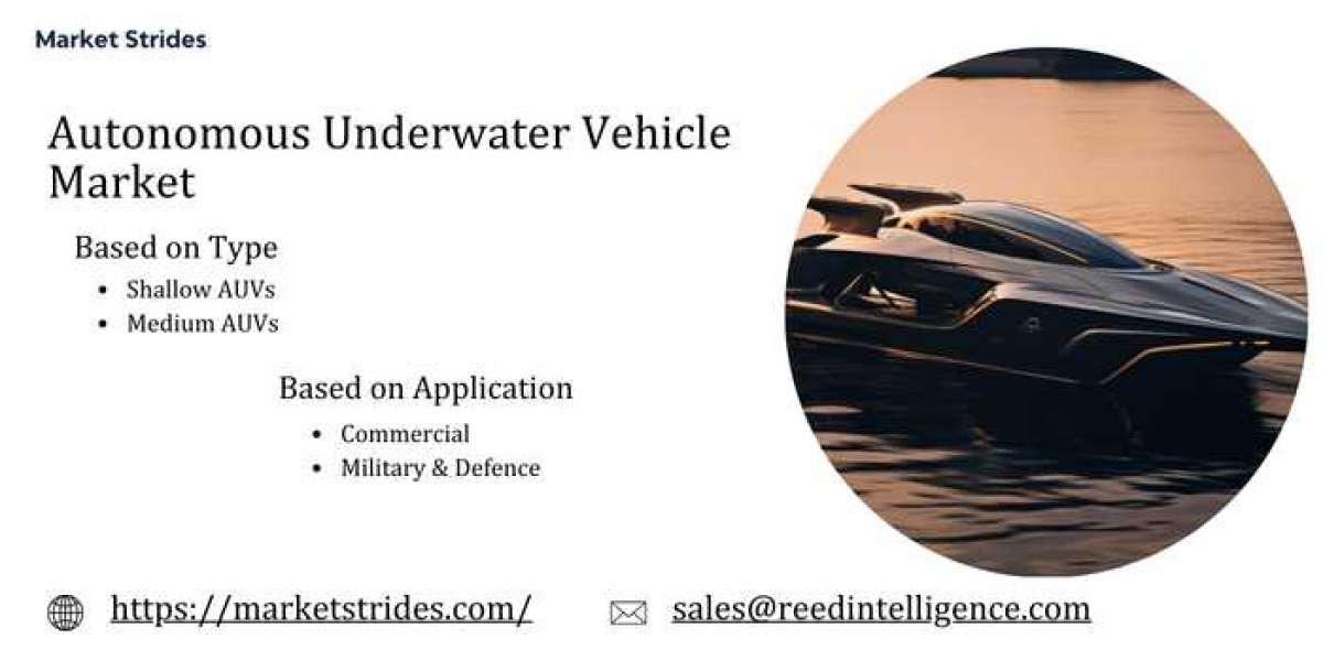 Autonomous Underwater Vehicle Market Forecast 2025-2033: Growth Insights