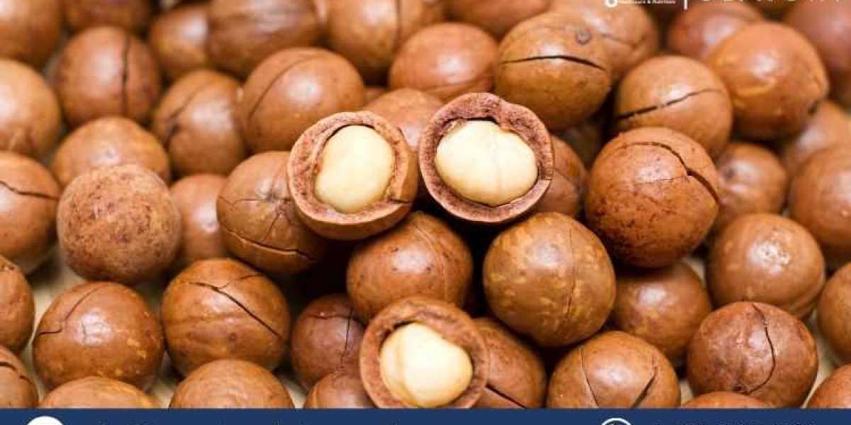 Australia Macadamia Market: Trends, Growth, and Insights