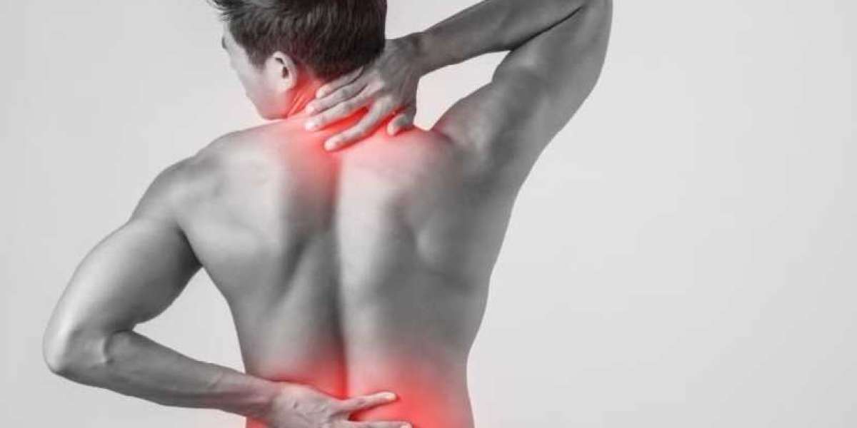 Global Fibromyalgia Treatment Market Share, Trends, Outlook, Growth, Segments & Forecast | 2024 - 2032