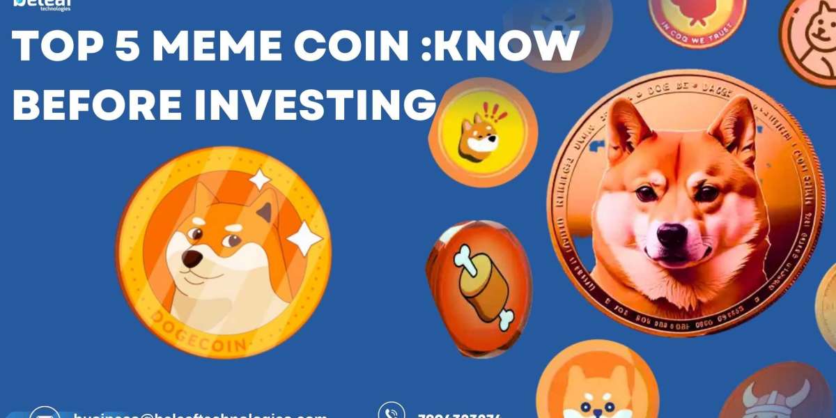 top 5 meme coin before investing