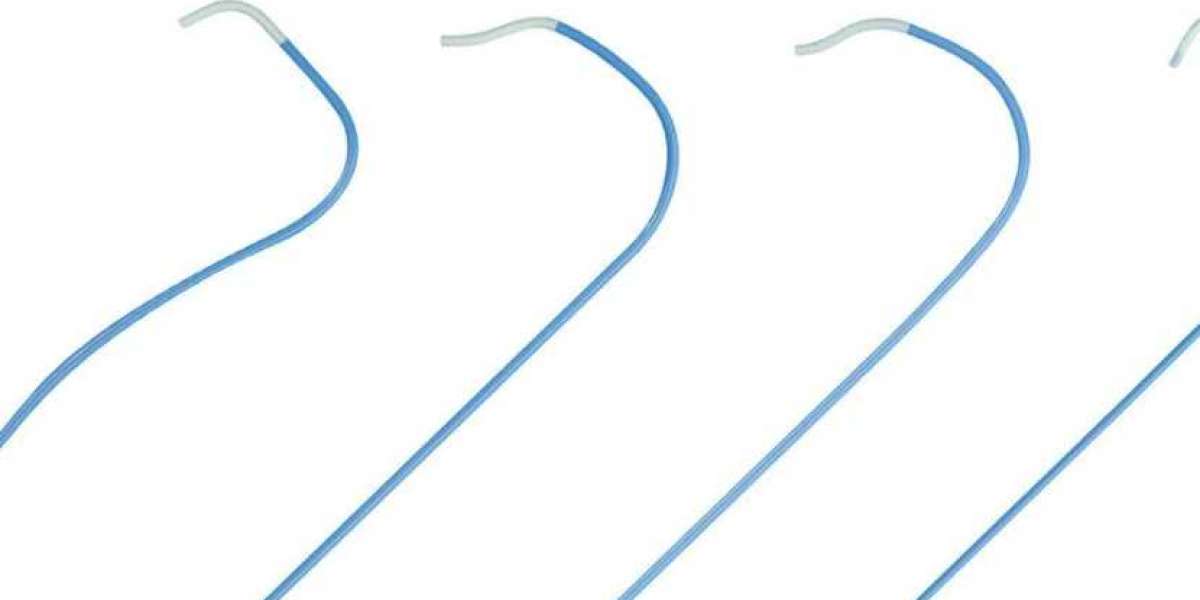 India Disposable Catheters Market Trends, Share, Size, Growth, Outlook & Forecast | 2024 - 2032