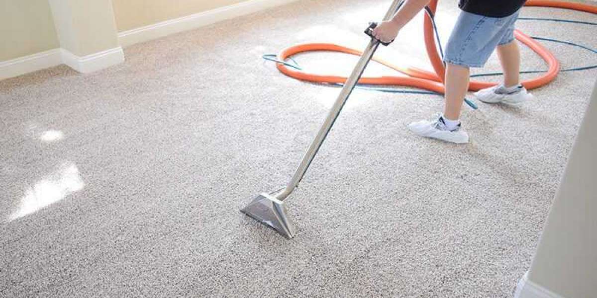 Elevate Your Home’s Look and Feel with Expert Carpet Cleaning